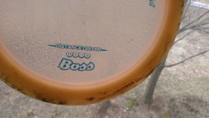 This is an example of how the "class" field is printed on discs